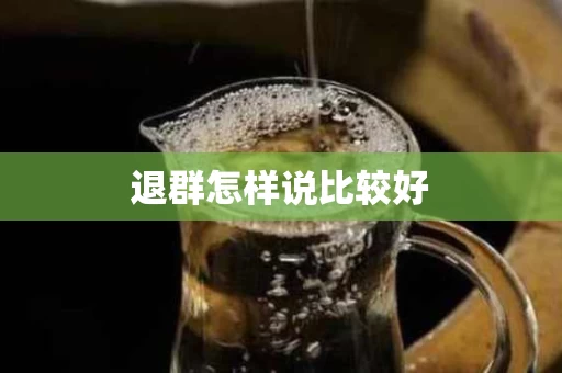 退群怎样说比较好