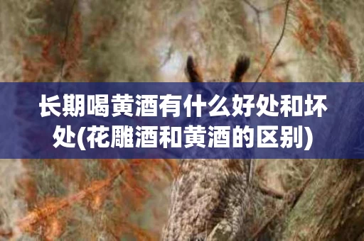 长期喝黄酒有什么好处和坏处(花雕酒和黄酒的区别)
