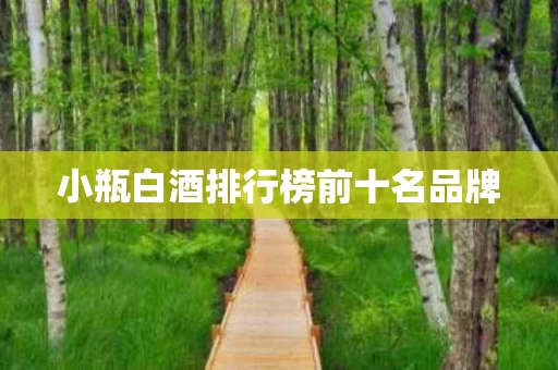 小瓶白酒排行榜前十名品牌