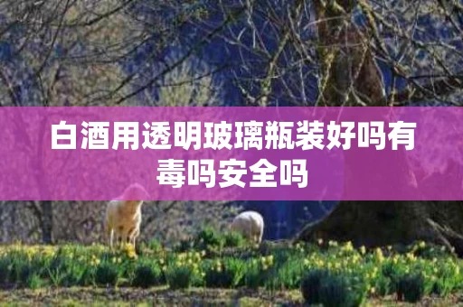 白酒用透明玻璃瓶装好吗有毒吗安全吗
