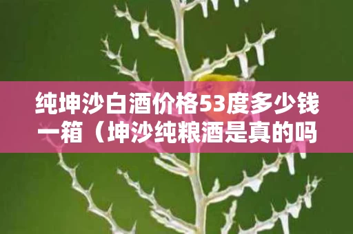 纯坤沙白酒价格53度多少钱一箱（坤沙纯粮酒是真的吗?）