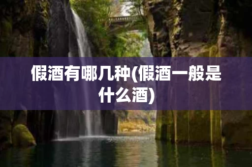 假酒有哪几种(假酒一般是什么酒)