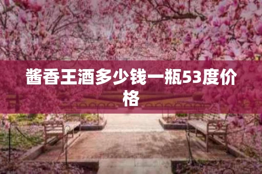 酱香王酒多少钱一瓶53度价格