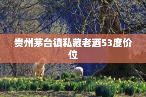贵州茅台镇私藏老酒53度价位