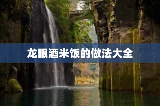 龙眼酒米饭的做法大全