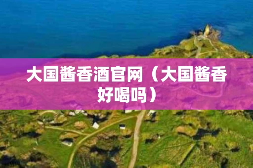 大国酱香酒官网（大国酱香好喝吗）