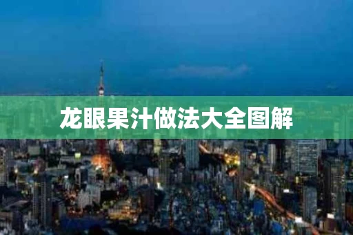 龙眼果汁做法大全图解