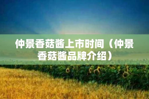 仲景香菇酱上市时间（仲景香菇酱品牌介绍）