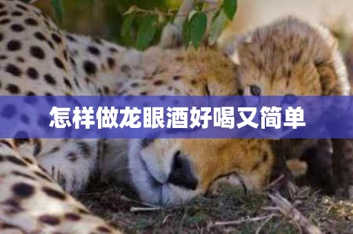 怎样做龙眼酒好喝又简单