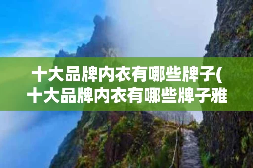 十大品牌内衣有哪些牌子(十大品牌内衣有哪些牌子雅姿婷是几线品牌)