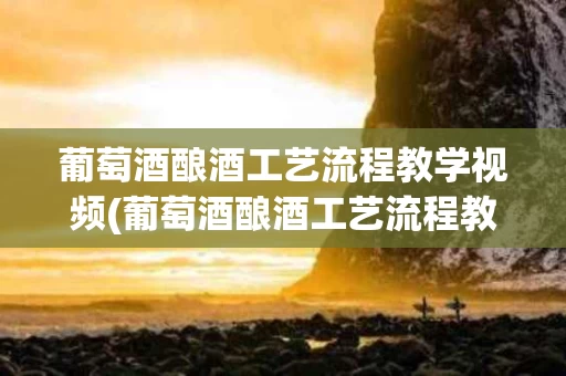 葡萄酒酿酒工艺流程教学视频(葡萄酒酿酒工艺流程教学视频全集)