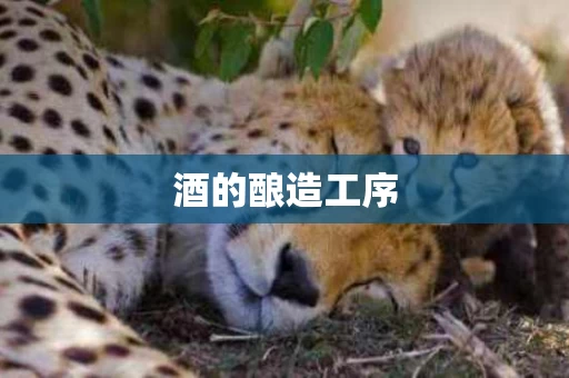 酒的酿造工序