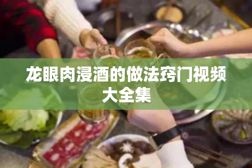 龙眼肉浸酒的做法窍门视频大全集