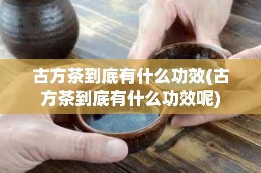 古方茶到底有什么功效(古方茶到底有什么功效呢)