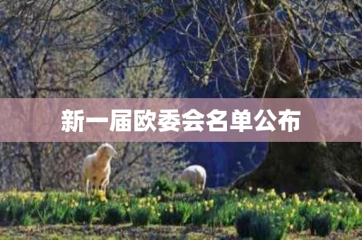 新一届欧委会名单公布