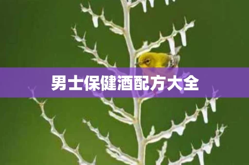 男士保健酒配方大全