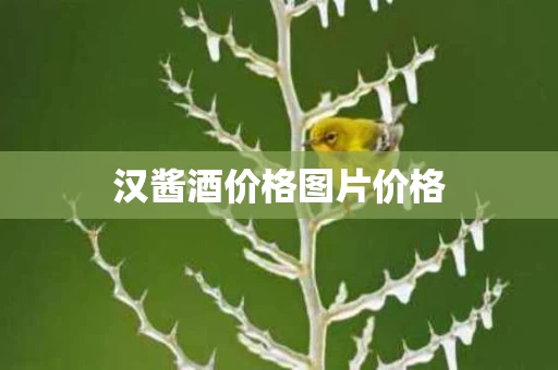 汉酱酒价格图片价格
