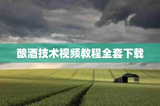 酿酒技术视频教程全套下载