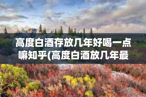 高度白酒存放几年好喝一点嘛知乎(高度白酒放几年最好喝)