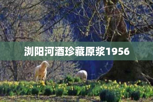浏阳河酒珍藏原浆1956