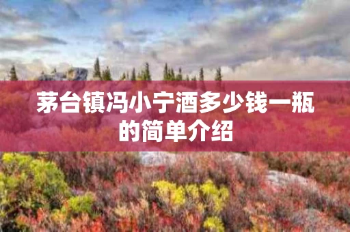 茅台镇冯小宁酒多少钱一瓶的简单介绍