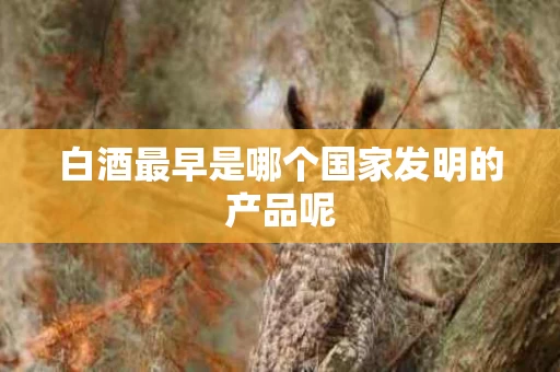 白酒最早是哪个国家发明的产品呢