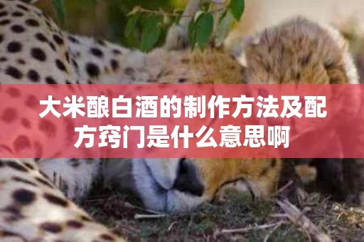 大米酿白酒的制作方法及配方窍门是什么意思啊