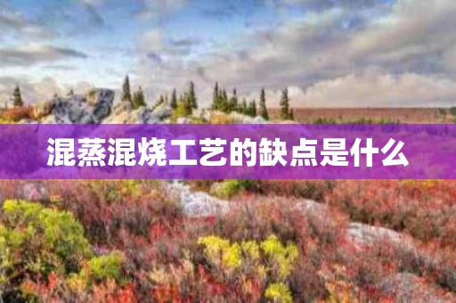 混蒸混烧工艺的缺点是什么