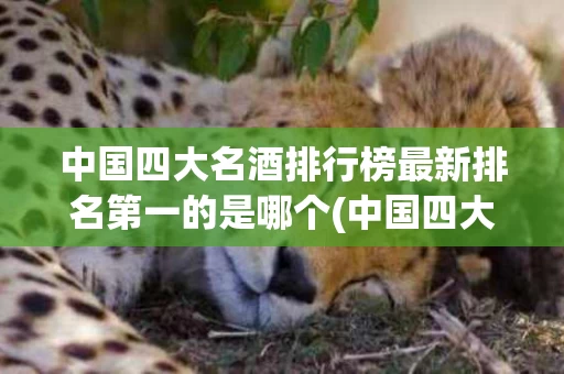 中国四大名酒排行榜最新排名第一的是哪个(中国四大名酒排行榜最新排名第一的是哪个酒厂)