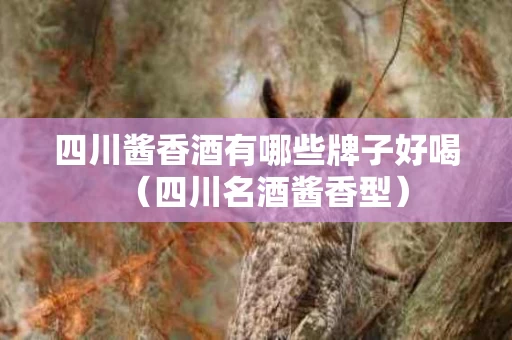 四川酱香酒有哪些牌子好喝（四川名酒酱香型）