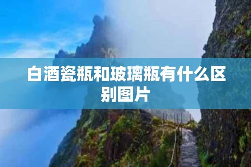 白酒瓷瓶和玻璃瓶有什么区别图片