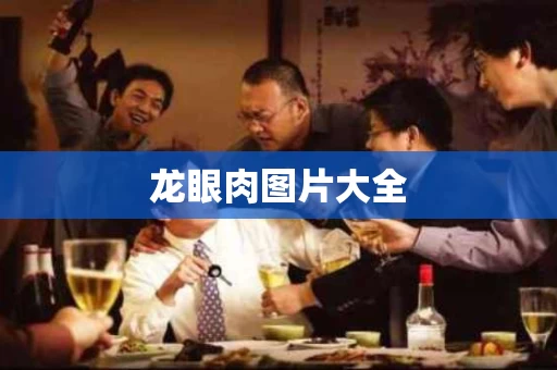 龙眼肉图片大全