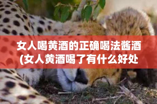 女人喝黄酒的正确喝法酱酒(女人黄酒喝了有什么好处)