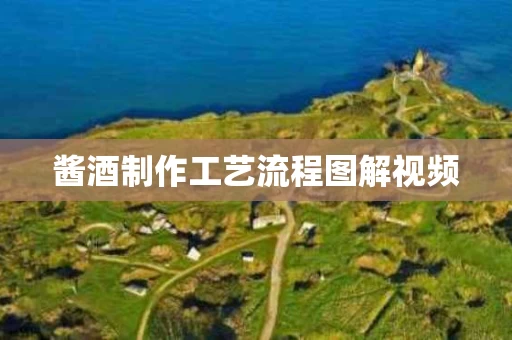 酱酒制作工艺流程图解视频