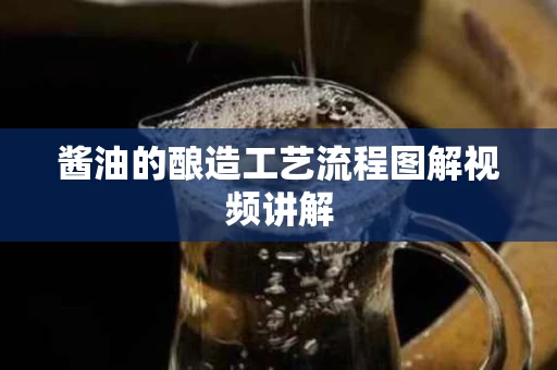 酱油的酿造工艺流程图解视频讲解