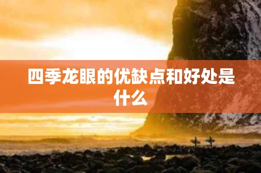 四季龙眼的优缺点和好处是什么