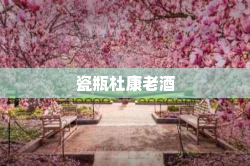 瓷瓶杜康老酒
