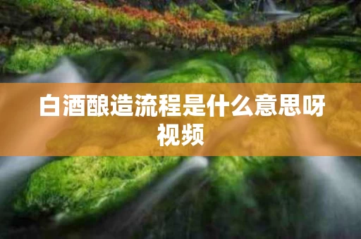 白酒酿造流程是什么意思呀视频