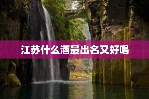 江苏什么酒最出名又好喝