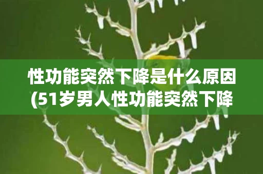 性功能突然下降是什么原因(51岁男人性功能突然下降是什么原因)