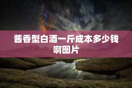 酱香型白酒一斤成本多少钱啊图片
