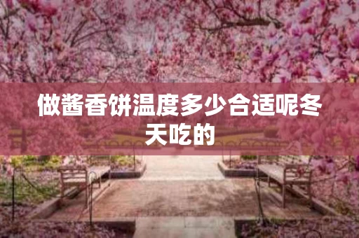 做酱香饼温度多少合适呢冬天吃的