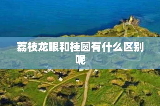 荔枝龙眼和桂圆有什么区别呢
