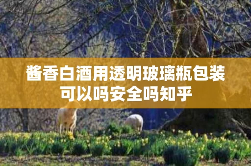 酱香白酒用透明玻璃瓶包装可以吗安全吗知乎