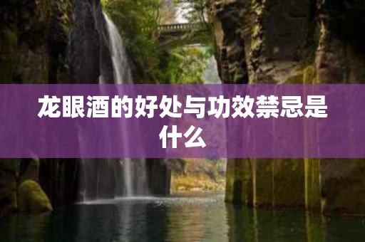 龙眼酒的好处与功效禁忌是什么