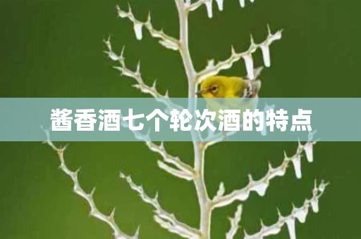 酱香酒七个轮次酒的特点