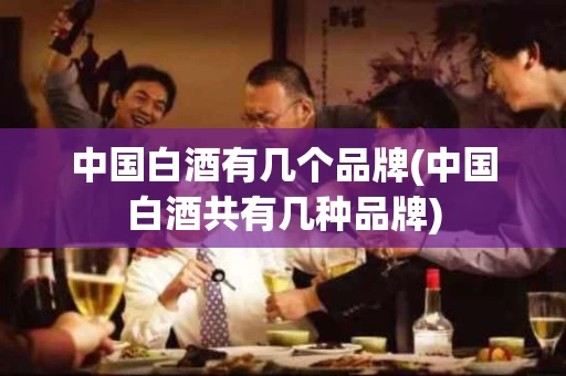 中国白酒有几个品牌(中国白酒共有几种品牌)