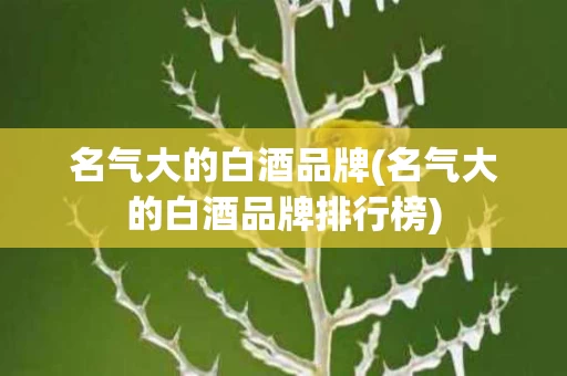 名气大的白酒品牌(名气大的白酒品牌排行榜)