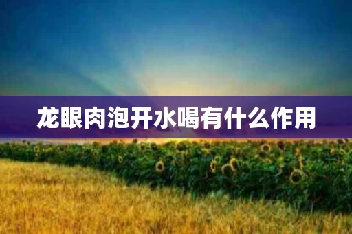 龙眼肉泡开水喝有什么作用