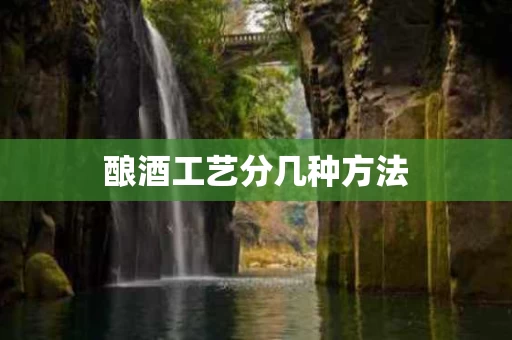 酿酒工艺分几种方法